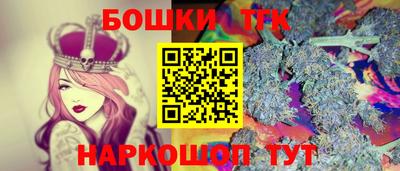 индика Тула