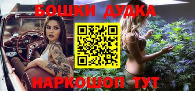 индика Тула